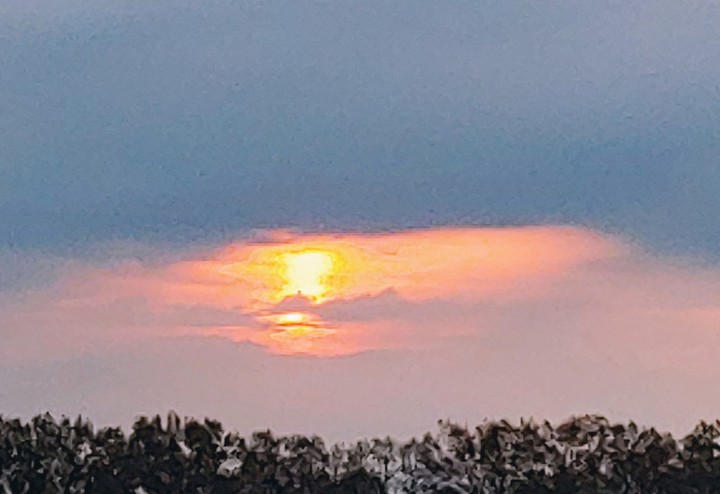 love this beautiful Wednesday morning