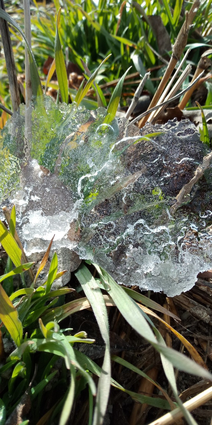 #green #ice