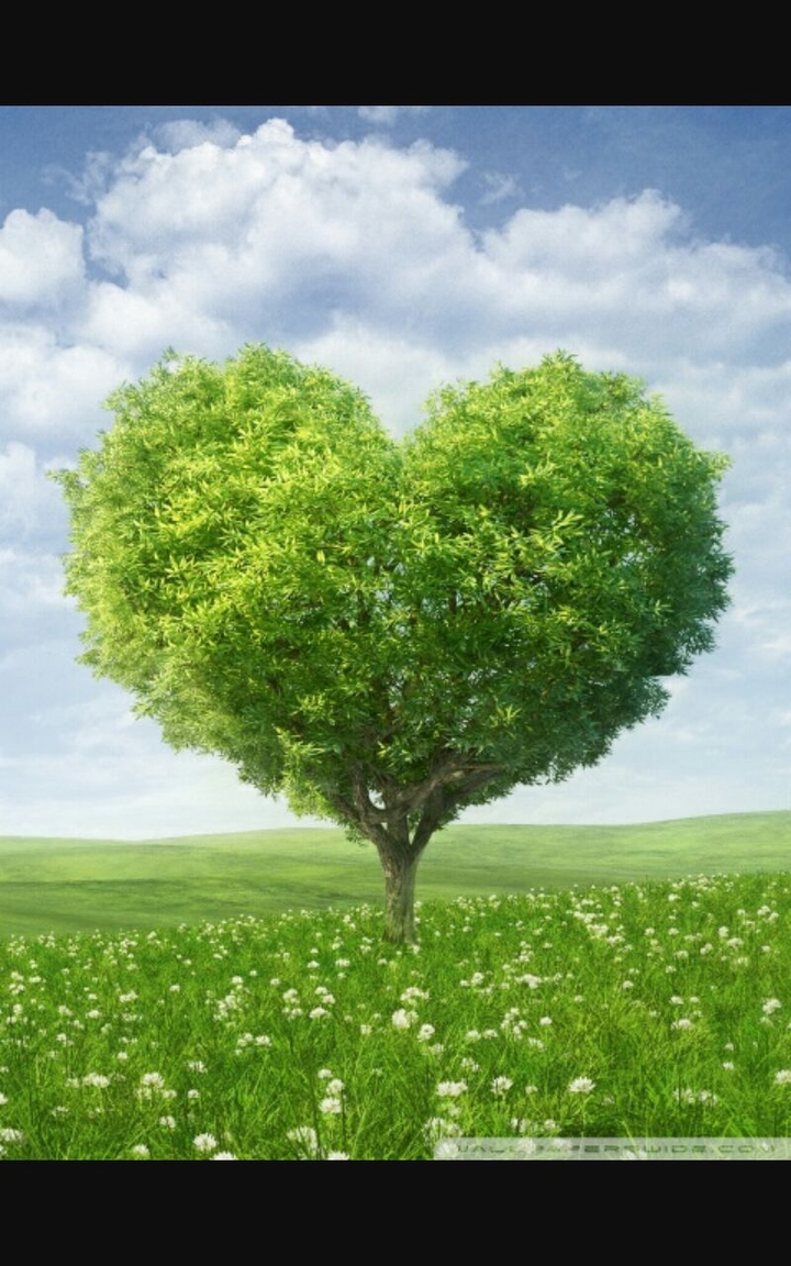 i love