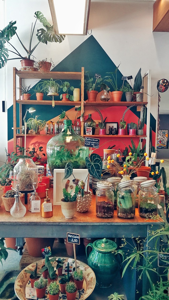 Flower shop