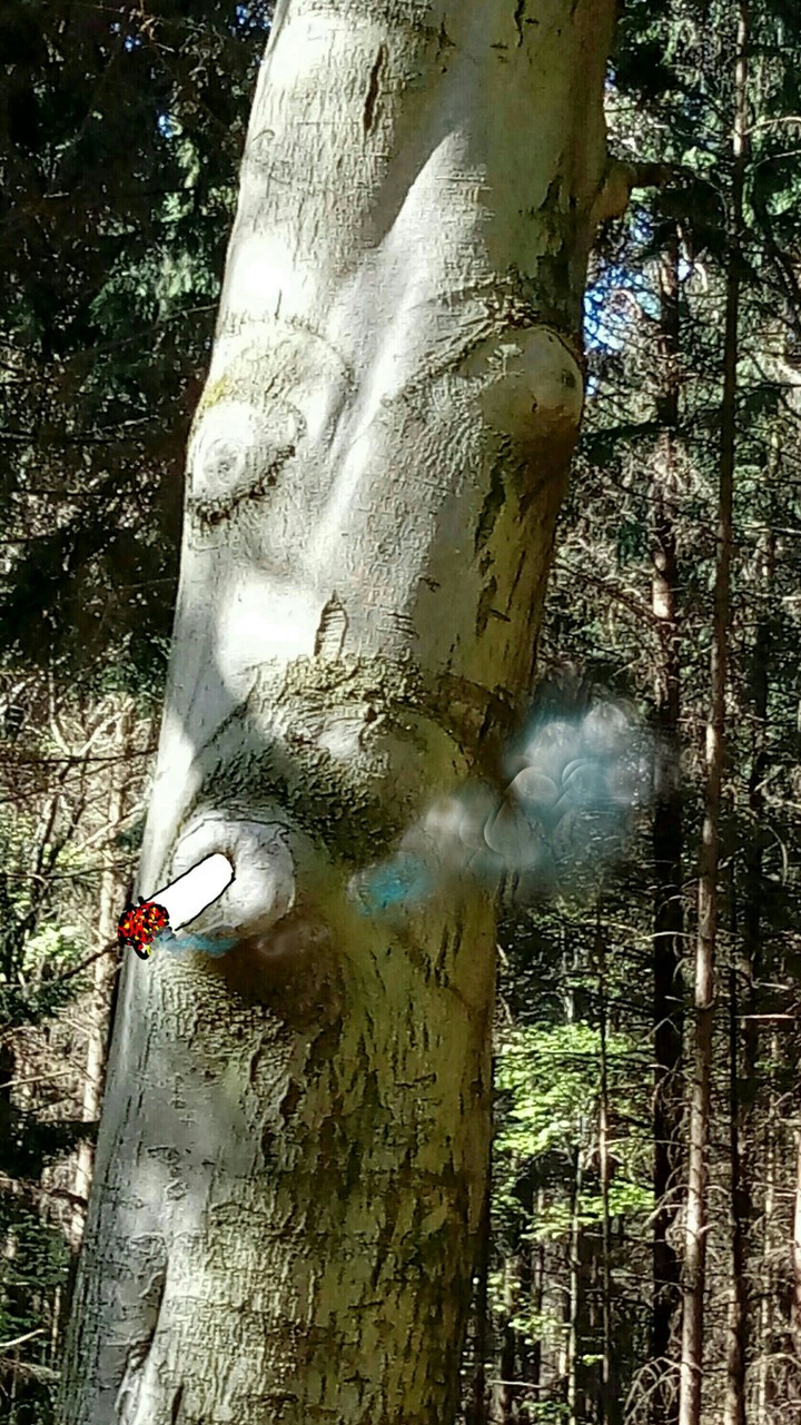 smoking tree