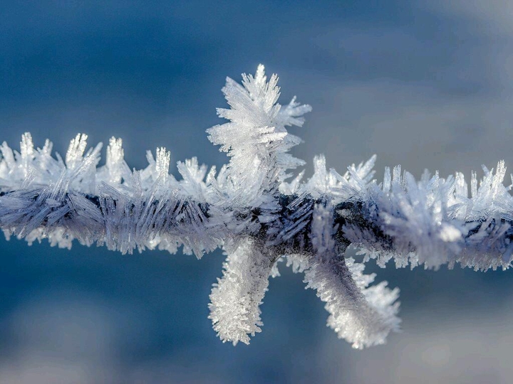 Winter I am waiting.......