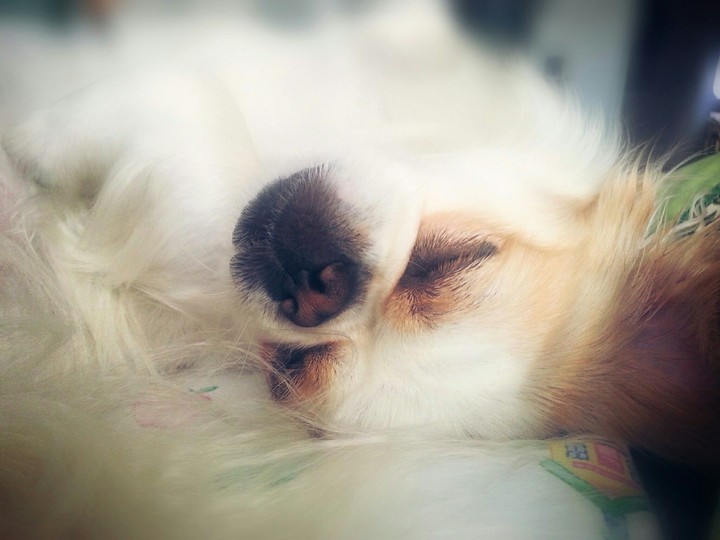 Bella....