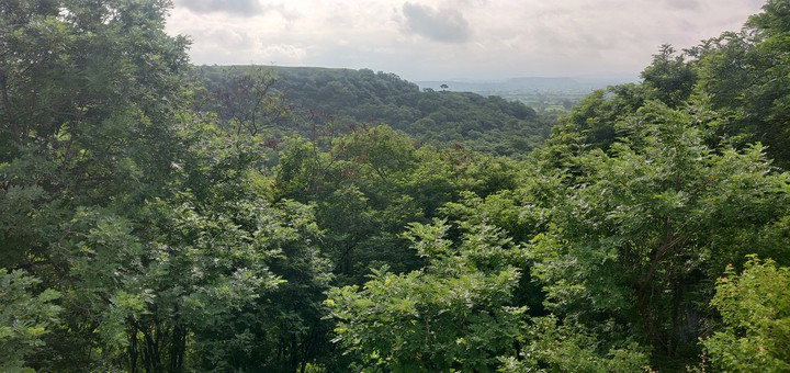 Mountain view from Jungle