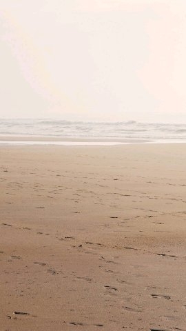 Praia