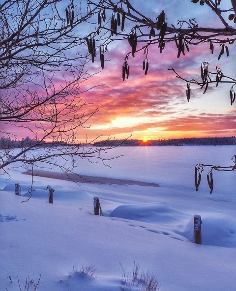 pink clouds