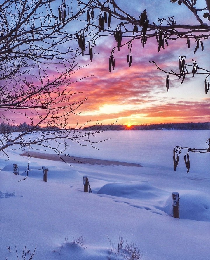 pink clouds