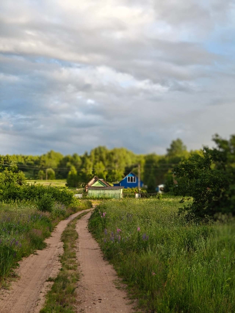 Blue, Green, Grass