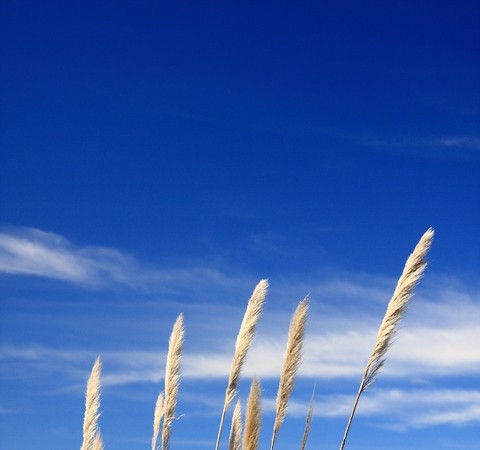 On A Windy Day