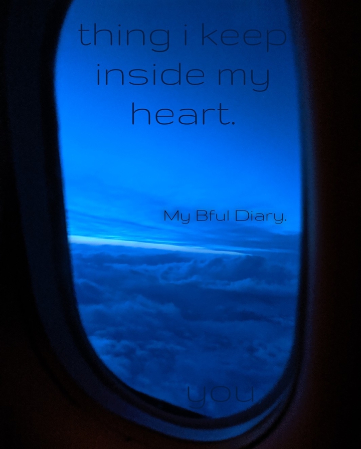 flight