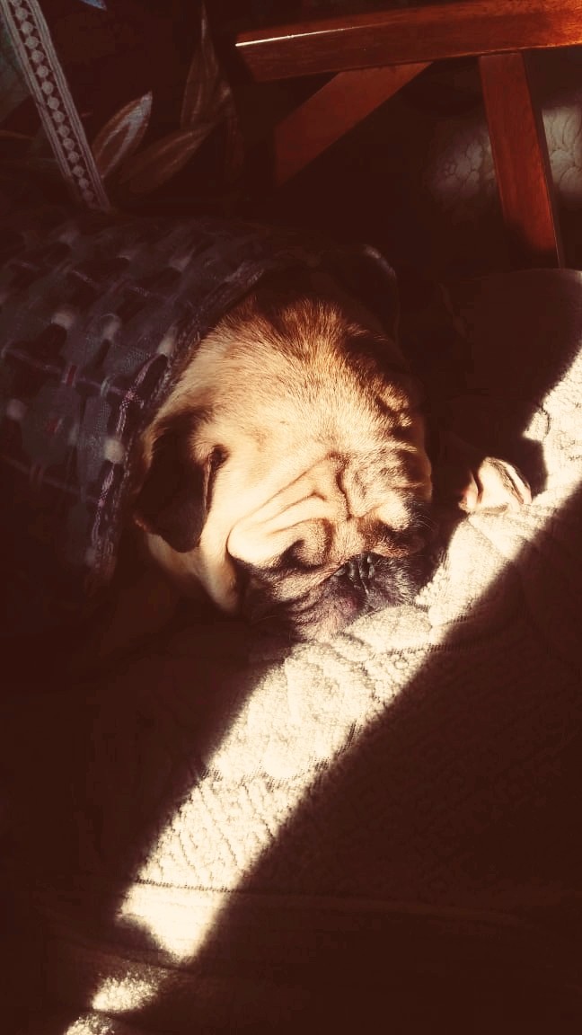 PUG