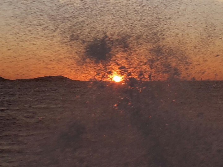 the sun and the sea