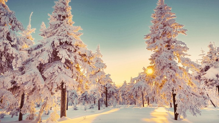winter