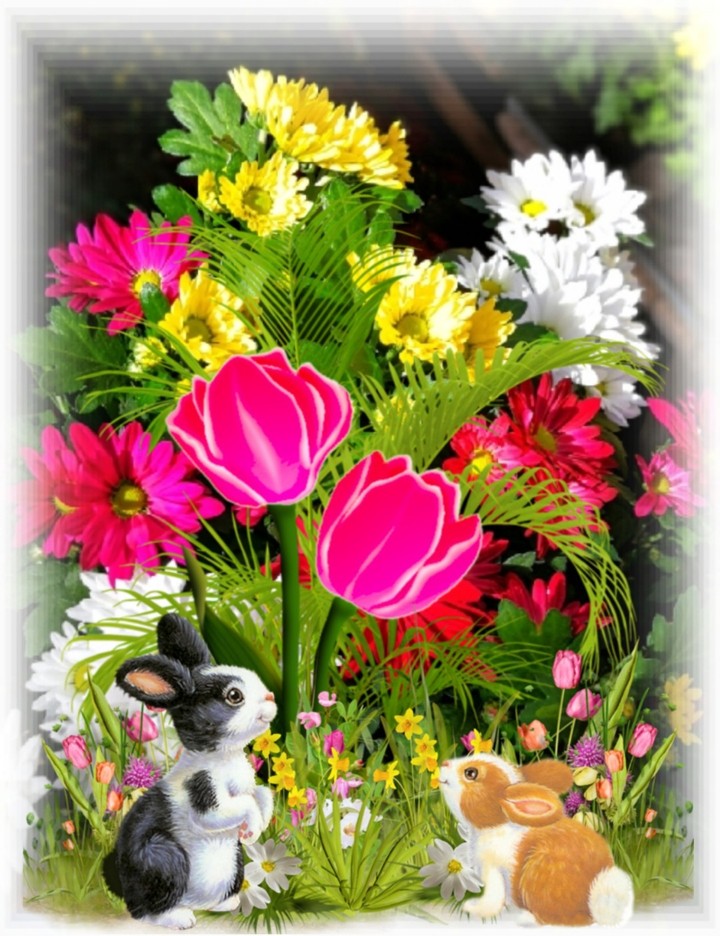 beautiful nature