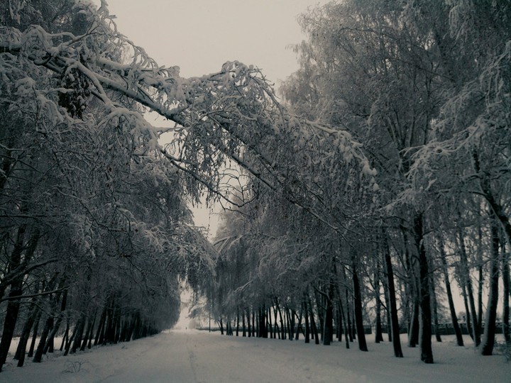 Pyryatins winter, 2018