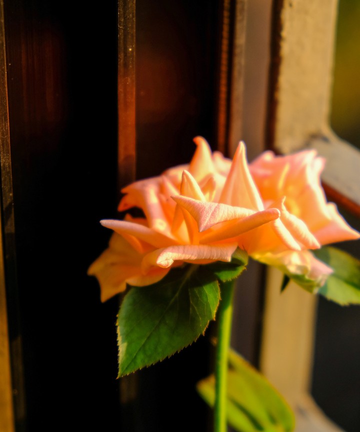 soft and delicate