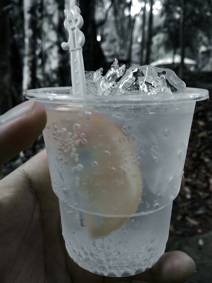 Lemonade