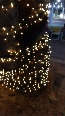 Natal do ano passado