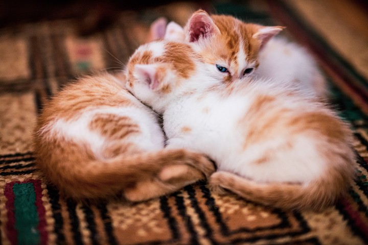 ♡