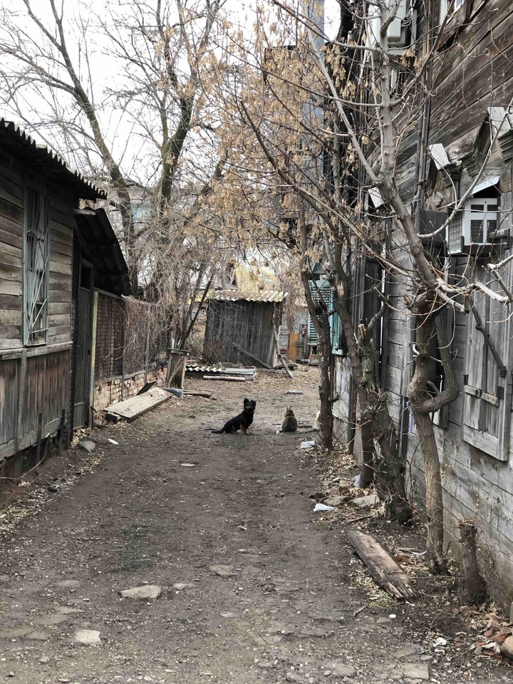 Russia , Astrakhan