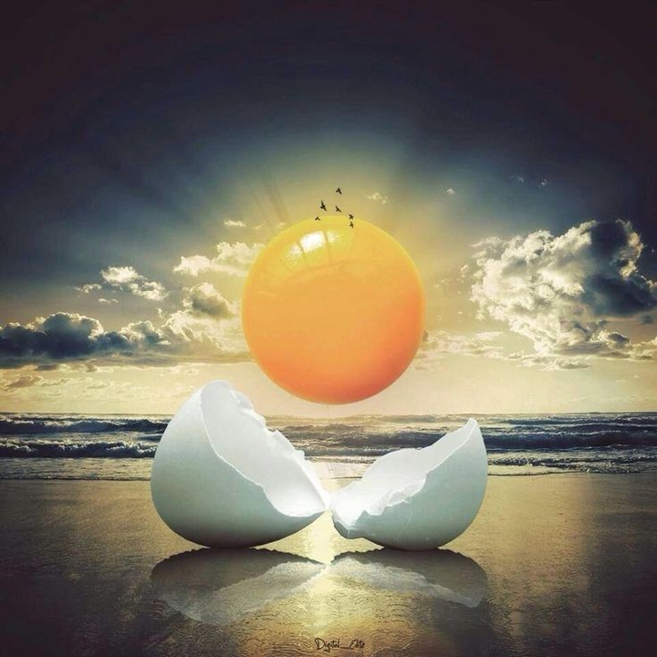 sol