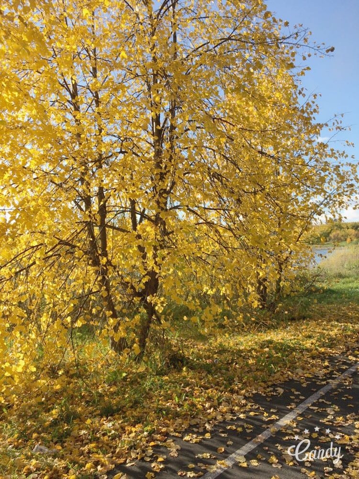 осень