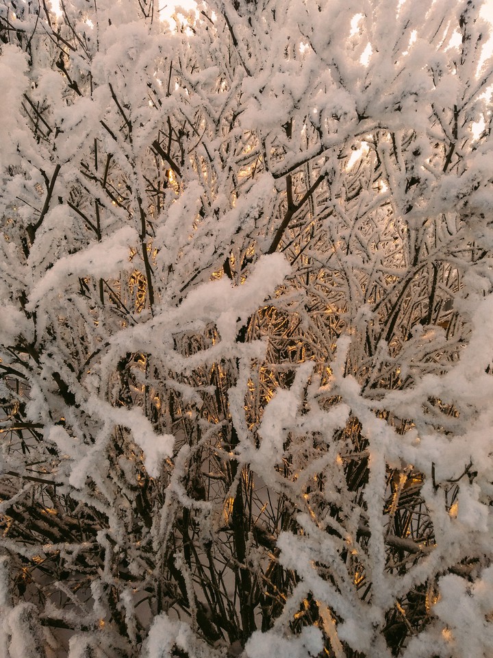 winter