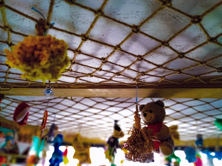 Toy bear