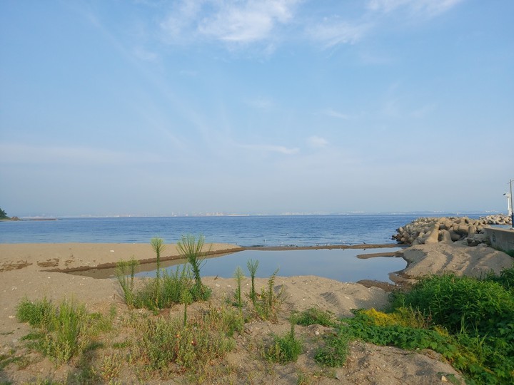 포항 흥환리 바다 4