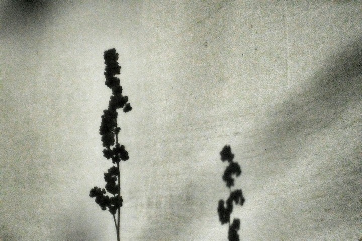 Shadow.