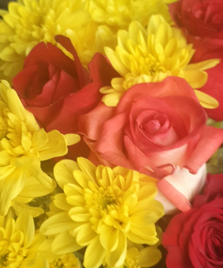 colores