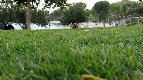 by me❤