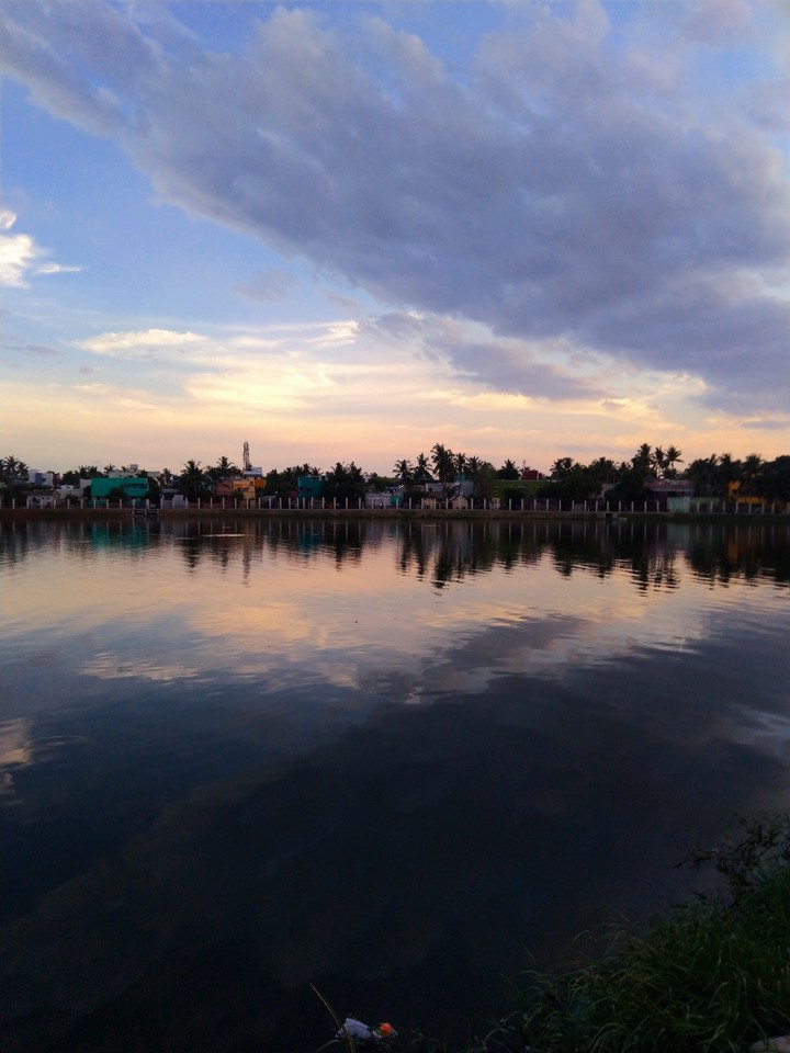 Evening breeze! ?