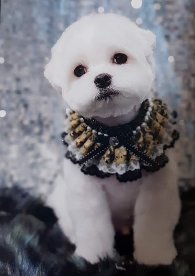 울 곰이 왜 골났어? 시무룩 뚝뚝
