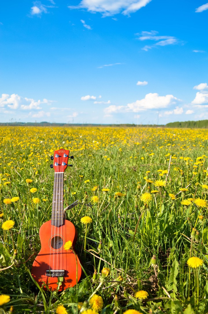 guitar