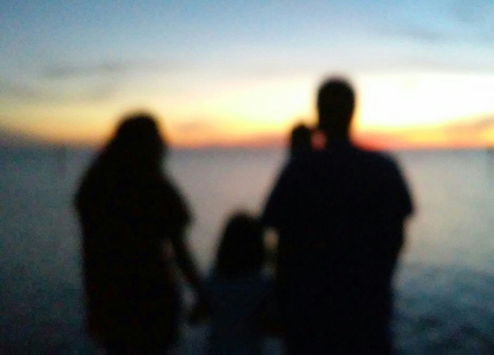 THE FAMILY
