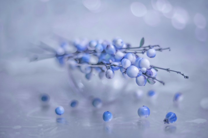 Snowberry