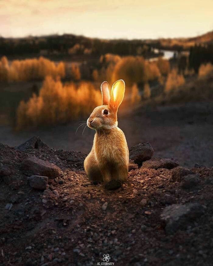 .