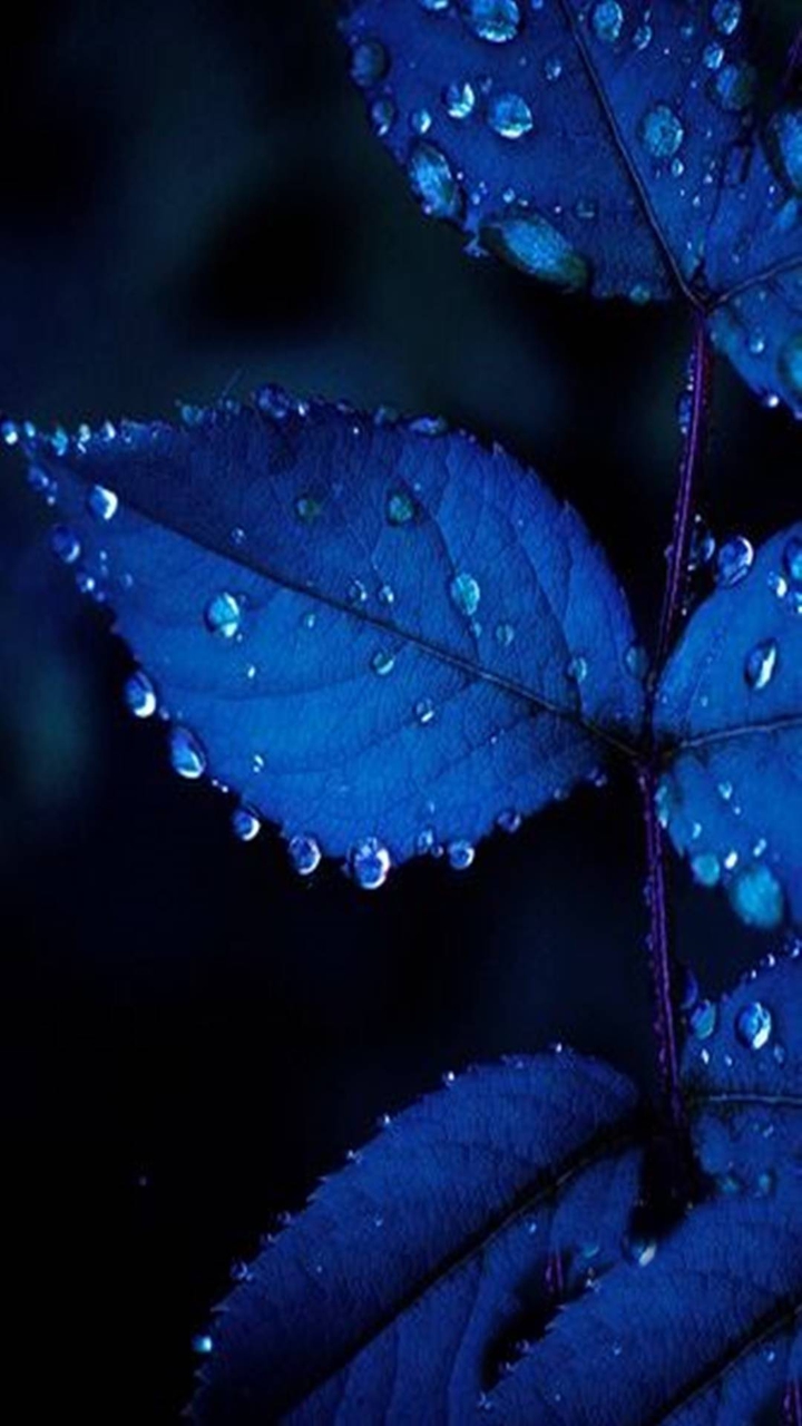 #blue