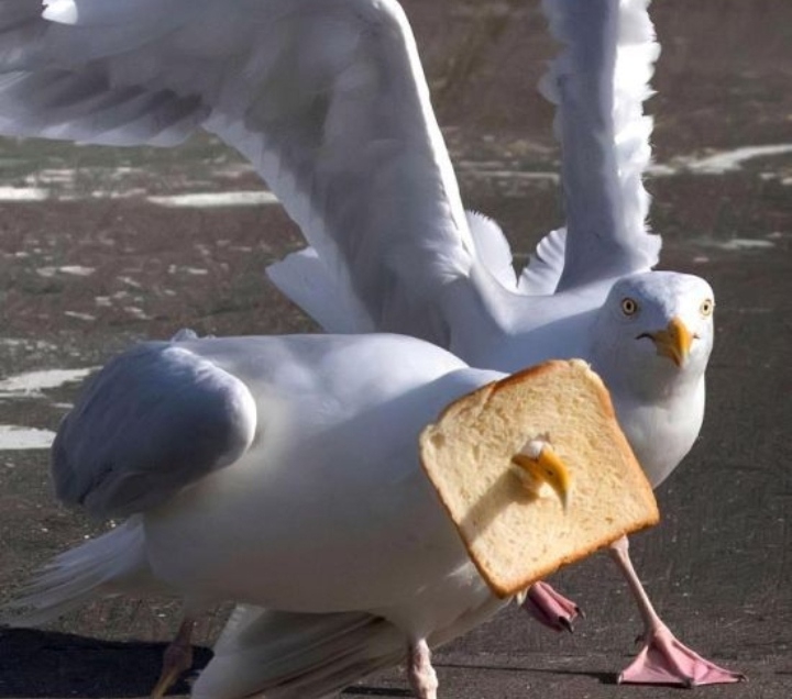 лллл