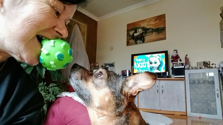 feliz
