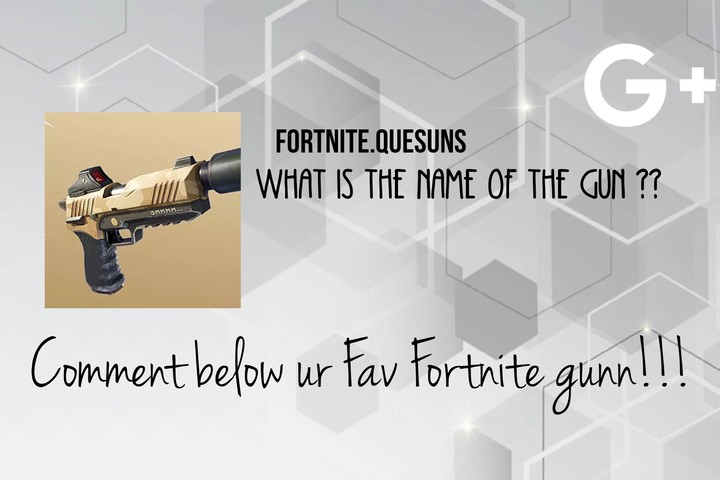What is the Name of this Gun??