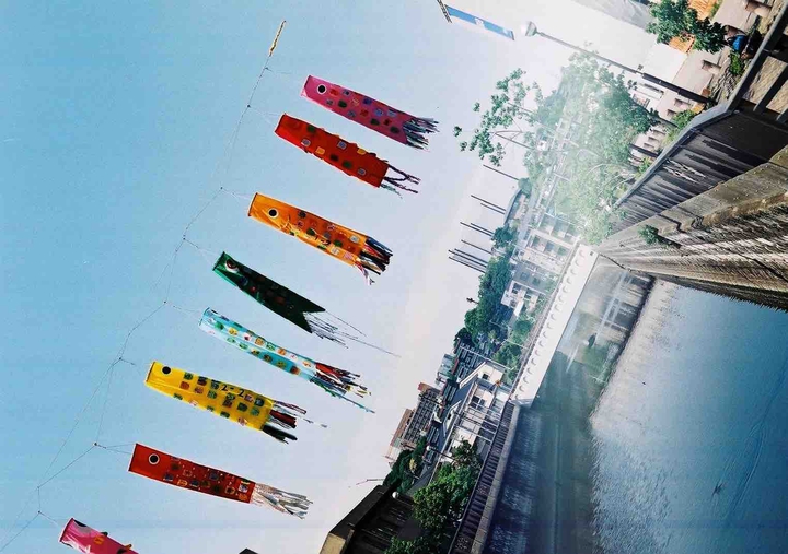 carp streamer