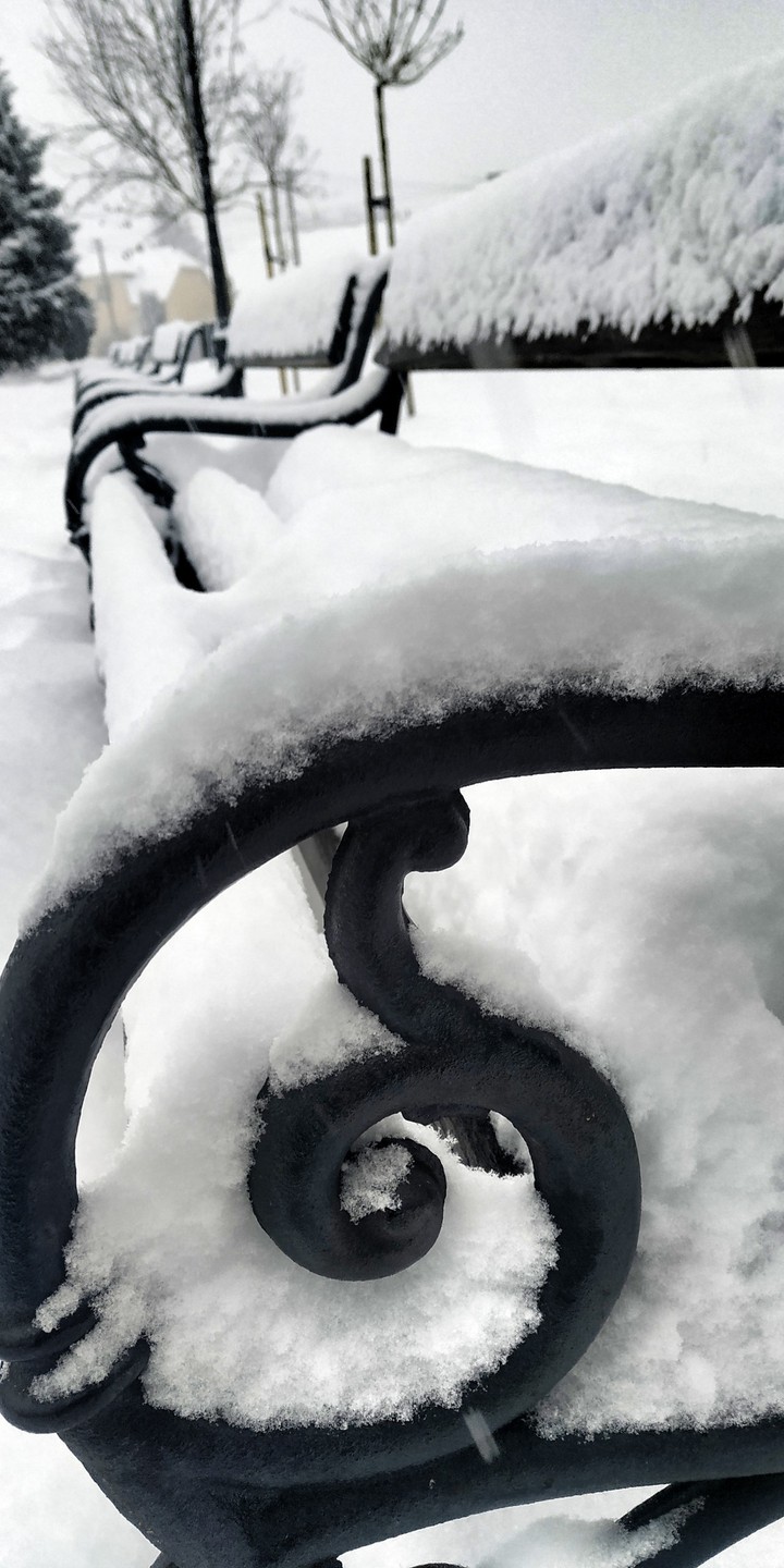 Winter