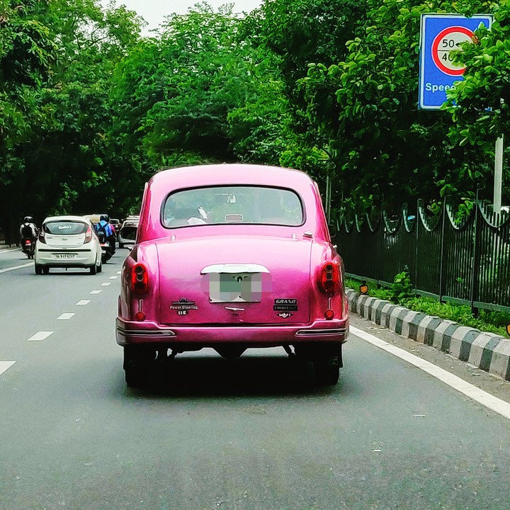 Pink Ambassador
