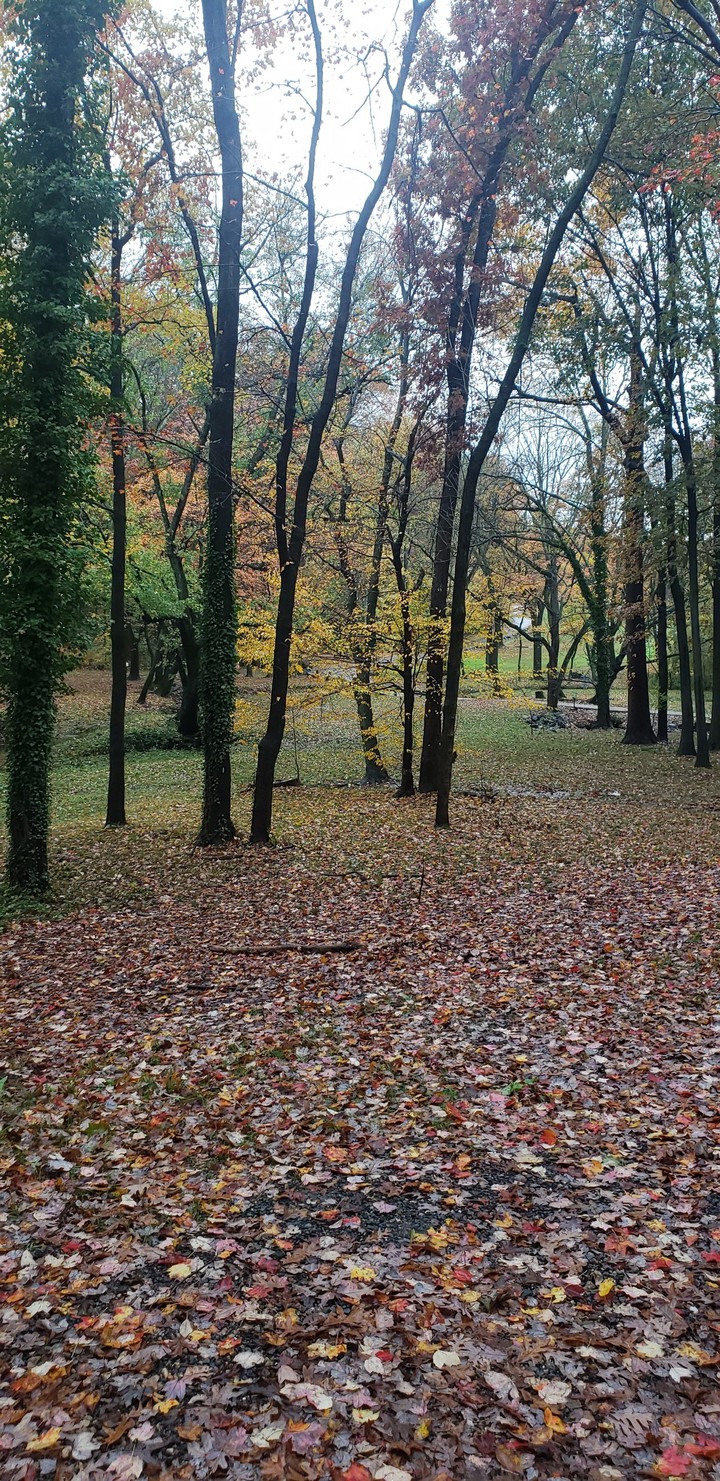 un parque
