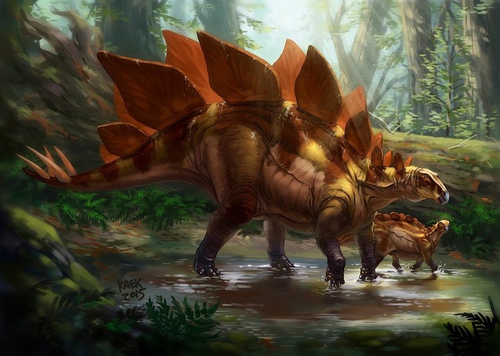 stegosaurus art