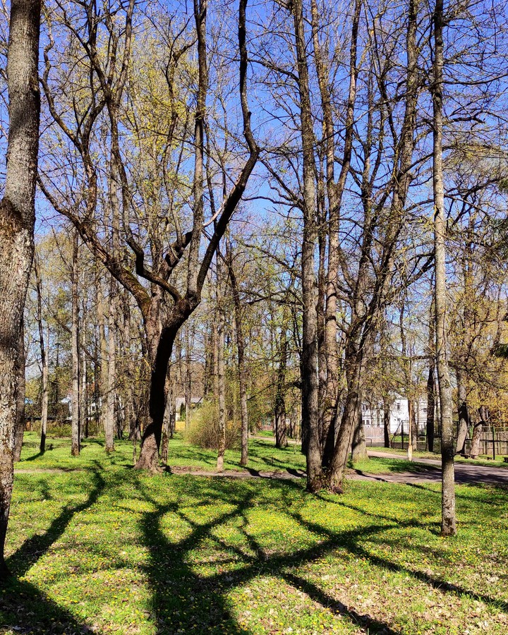 park