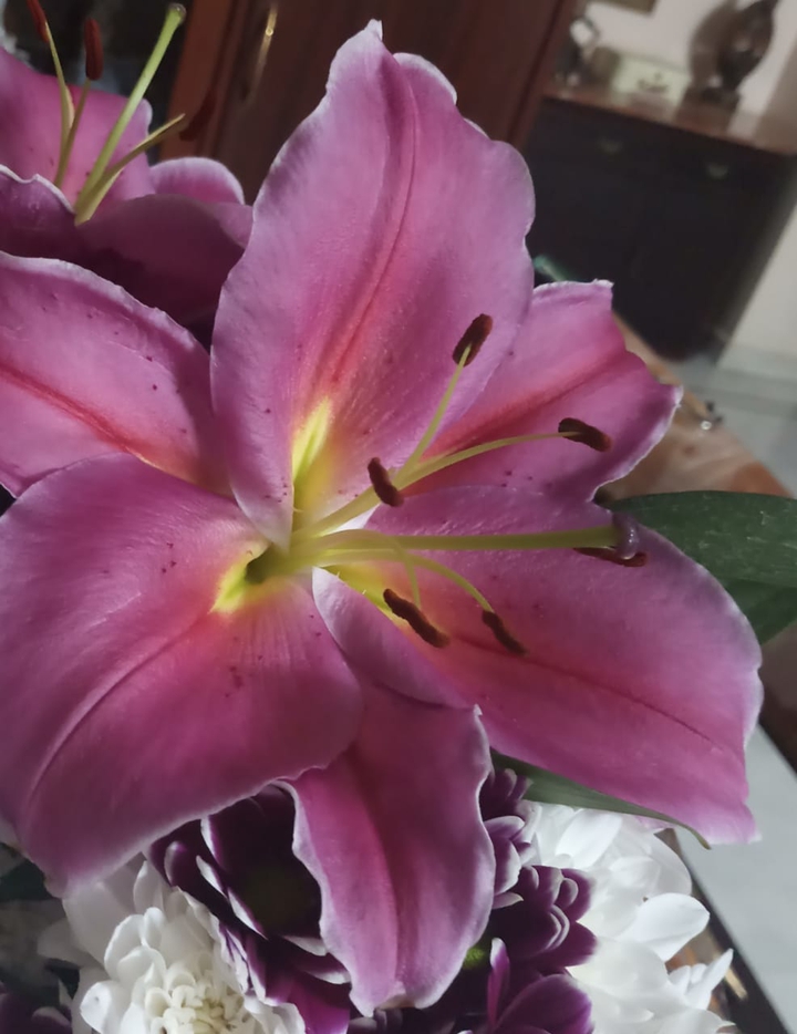 flower