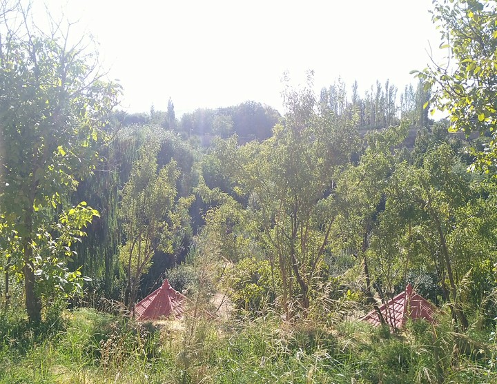 garden